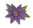 Фігурний дірокол McGill - Star Lily