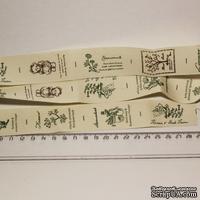 Лента от Thailand - Lovely Bear Print Cotton Ribbon Label String, 1 метр - ScrapUA.com