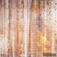 Лист бумаги для скрапбукинга от Lemon Owl - Plans for Today, Rise and Shine, 30x30