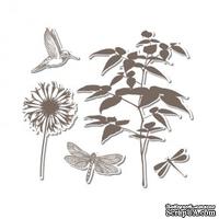 Лезвия и штампы - Sizzix - Framelits Die Set 5PK w/Stamp - Fern, 5 шт.