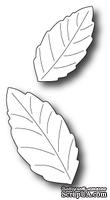 Лезвие - DIES- Fresh Leaves   - ScrapUA.com