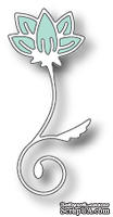 Лезвие от Memory Box - Arianna Sprig - ScrapUA.com