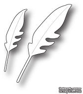 Лезвие от  Memory Box - DIES- Wild Feathers - ScrapUA.com