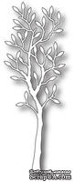 Лезвие от Memory Box -  DIES- Small Alder Tree - ScrapUA.com