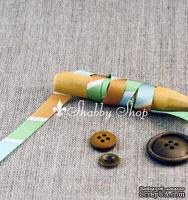 Лента American Crafts в зеленую, голубую, коричневую, белую диагональную полоску, ширина 9,5мм, 90 см - ScrapUA.com