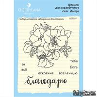 Набoр штампoв &quot;Искренне благодарю&quot; SET097 - ScrapUA.com