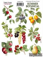 Набор наклеек (стикеров) 9 шт Summer botanical diary  188, ТМ Фабрика Декора - ScrapUA.com