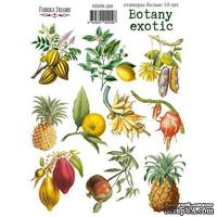 Набор наклеек (стикеров) 10 шт Botany exotic 209, ТМ Фабрика Декора - ScrapUA.com
