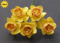 Нарциссы Yellow/Orange, 25 мм, 1 шт.