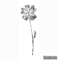 Резиновые штампы "Whisper Print Geranium" от Memory Box, 1 шт.
