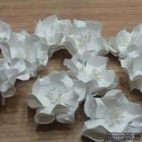 Набор бумажных цветов - Гардении от Scrap Klumba, белые, 5 шт., диаметр 4 см