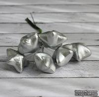 Звезды от Scrapberry's, серебряные, 6шт