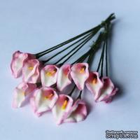  Каллы бело-розовые, цветок 15х20мм, стебель 8 см, 5 шт.