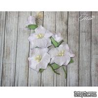 Набор цветов TM Iris - Blossom Сиреневые, 5 шт - ScrapUA.com