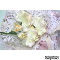 Набор цветов TM Iris - Vanille flowers Солнечный день, кремовые с желтым, 5 шт - ScrapUA.com