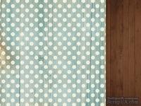 Двусторонний лист скрапбумаги от Kaisercraft - Teddy Bears Picnic Collection - Furry, 30,5 х 30,5 см.