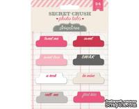 Бумажные украшения Набор декоративных ярлычков от Pink Paislee - Secret Crush Photo Tabs, 24 шт. - ScrapUA.com