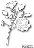 Нож для вырубки от Poppystamps - Bonney Stem - ScrapUA.com