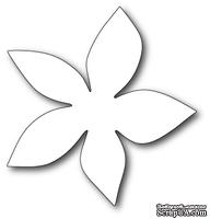 Нож для вырубки от Poppystamps - Grand Luxe Poinsettia Background - ScrapUA.com
