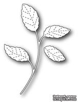 Нож для вырубки от Poppystamps - Hampstead Stem - ScrapUA.com