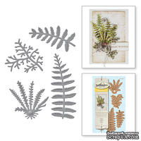 Нож для вырубки от Spellbinders - Ferns - ScrapUA.com