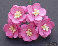 Цветы вишни, цвет розовый, диаметр - 25мм, 5 шт.