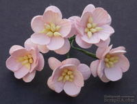 Цветы вишни, цвет бледно-розовый, диаметр - 25мм, 5 шт.