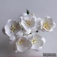 Цветы вишни, цвет белый, диаметр - 25мм, 5 шт.