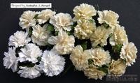 Набор гвоздик  (белые и кремовые оттенки), 25мм, 20 шт. - ScrapUA.com