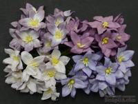 Набор лилий, микс цветов (сиреневый и фиолетовый оттенки), 30мм, 40 шт.