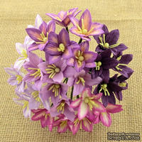 Набор лилий, микс цветов (сиреневый и фиолетовый оттенки), 30мм, 50 шт.
