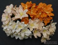 Набор лилий, микс цветов (персиковые и оранжевые оттенки), 30мм, 40 шт.