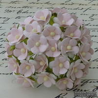Цветочки любви - sweetheart, цвет нежно-розовый, диаметр - 15мм, 10 шт.