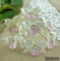 Орхидеи, цвет белый с розовым, 33х40мм, 5 шт.