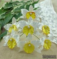 Орхидеи, цвет белый с желтым, 33х40мм, 5 шт.
