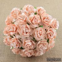 Дикая роза, цвет бледно-персиковый, 3 см., 1 шт