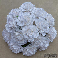 Розы от Thailand, цвет белый, 35 мм, 1 шт