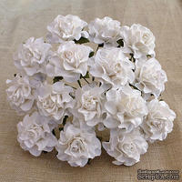 Розы от Thailand, цвет белый, 30 мм, 1 шт