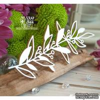 Чипборд ScrapBox - Веточка розмарина Hf-157 - ScrapUA.com