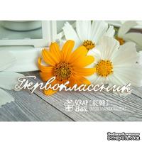 Чипборд ScrapBox - надпись Первоклассник Hi-188 - ScrapUA.com