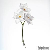 Нарциссы, тканевые, белые, 45 мм, 3 шт. - ScrapUA.com