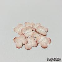 Гортензия персиковая, 20 мм, 20 шт