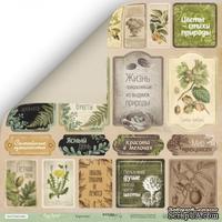 Лист односторонней бумаги для скрапбукинга  от Scrapmir - Карточки (RU) - Cozy Forest, 30х30