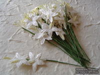 Гладиолусы White,  белый, 25 мм, 5 шт.