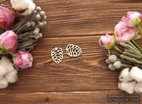 Чипборд от WOODchic - Набор шишки большие, 2 шт., 3х2 см - ScrapUA.com