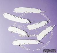 Чипборд от Wycinanka - Перышки, 6 эл., 7-9 см - ScrapUA.com