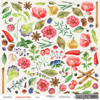 Лист двусторонней бумаги от Scrapmir - Декор -  Sugar and Spice, 20х20см