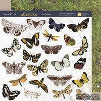 Лист двусторонней бумаги 20х20см Бабочки Herbarium Wild summer от Scrapmir
