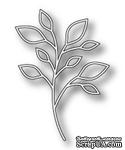 Нож для вырубки от Poppystamps - Massa Leaf Outline - ScrapUA.com