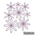 Лезвие Sue Wilson - Finishing Touches - Delicate Daisies - Open Petals - ScrapUA.com